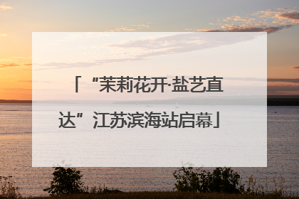 “茉莉花开·盐艺直达”江苏滨海站启幕