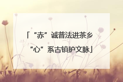 “赤”诚普法进茶乡 “心”系古镇护文脉