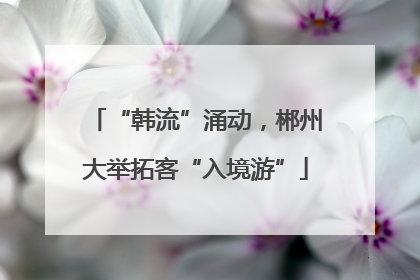 “韩流”涌动，郴州大举拓客“入境游”