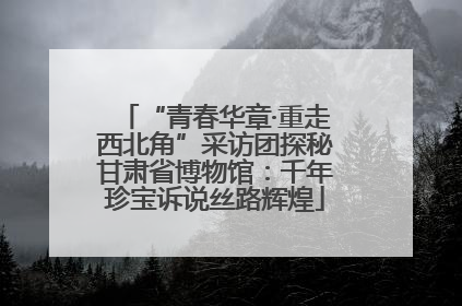 “青春华章·重走西北角”采访团探秘甘肃省博物馆：千年珍宝诉说丝路辉煌