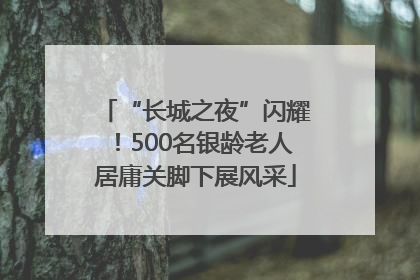 “长城之夜”闪耀！500名银龄老人居庸关脚下展风采