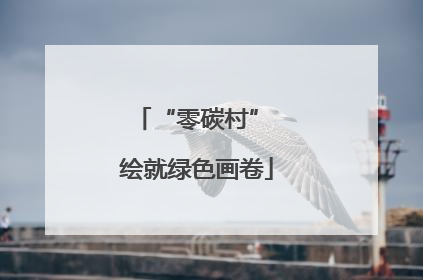 “零碳村” 绘就绿色画卷