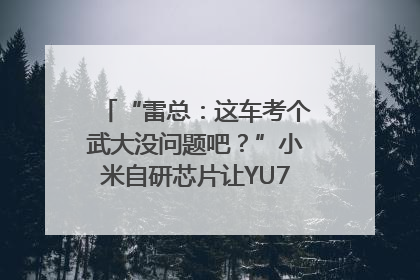 “雷总：这车考个武大没问题吧？”小米自研芯片让YU7会学习｜汽车科技