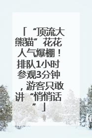 “顶流大熊猫”花花人气爆棚！排队1小时参观3分钟，游客只敢讲“悄悄话”