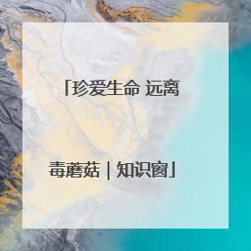 珍爱生命 远离毒蘑菇｜知识窗
