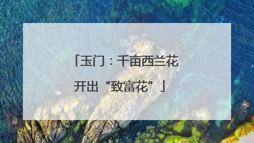 玉门：千亩西兰花开出“致富花”