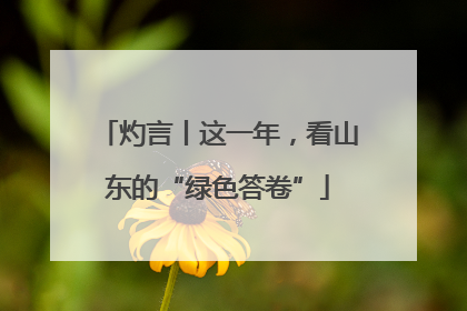 灼言丨这一年，看山东的“绿色答卷”