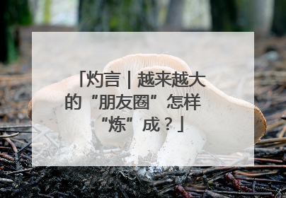 灼言｜越来越大的“朋友圈”怎样“炼”成？
