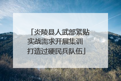 炎陵县人武部紧贴实战需求开展集训 打造过硬民兵队伍