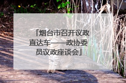 烟台市召开议政直达车——政协委员议政座谈会