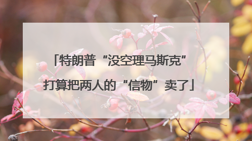 特朗普“没空理马斯克” 打算把两人的“信物”卖了