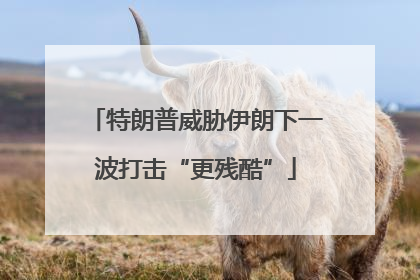特朗普威胁伊朗下一波打击“更残酷”