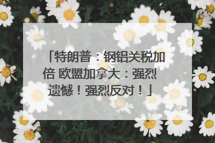 特朗普：钢铝关税加倍 欧盟加拿大：强烈遗憾！强烈反对！
