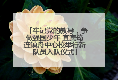 牢记党的教导，争做强国少年 宜宾筠连镇舟中心校举行新队员入队仪式