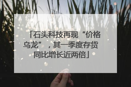石头科技再现“价格乌龙”，其一季度存货同比增长近两倍