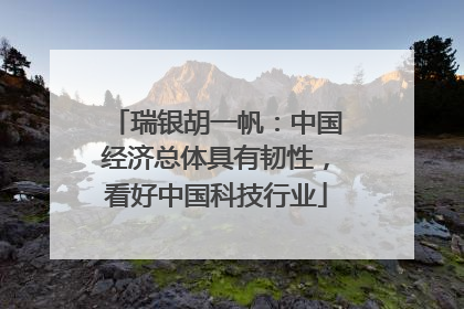 瑞银胡一帆：中国经济总体具有韧性，看好中国科技行业