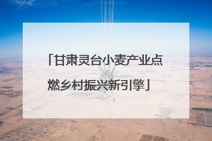 甘肃灵台小麦产业点燃乡村振兴新引擎