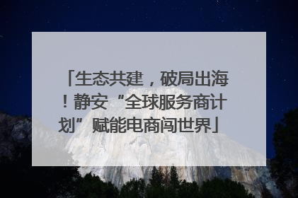 生态共建，破局出海！静安“全球服务商计划”赋能电商闯世界