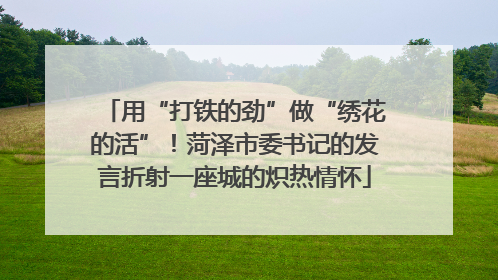 用“打铁的劲”做“绣花的活”！菏泽市委书记的发言折射一座城的炽热情怀