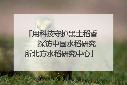 用科技守护黑土稻香——探访中国水稻研究所北方水稻研究中心