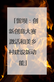 留坝：创新创意大赛激活和美乡村建设新动能