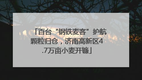 百台“钢铁麦客”护航颗粒归仓，济南高新区4.7万亩小麦开镰