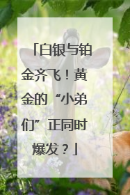 白银与铂金齐飞！黄金的“小弟们”正同时爆发？