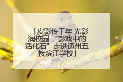 皮影传千年 光影润校园 “影戏中的活化石”走进通州五接滨江学校