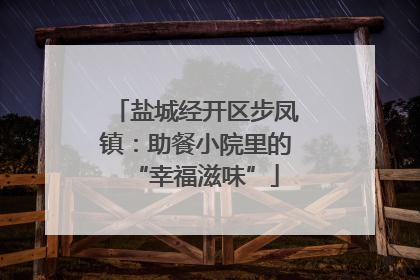 盐城经开区步凤镇：助餐小院里的“幸福滋味”