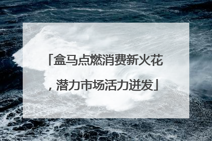 盒马点燃消费新火花，潜力市场活力迸发