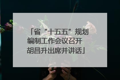 省“十五五”规划编制工作会议召开 胡昌升出席并讲话