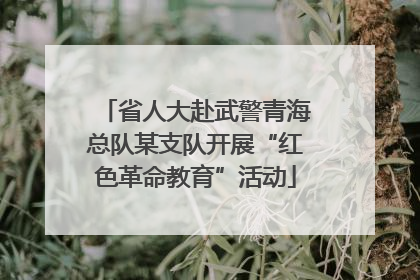 省人大赴武警青海总队某支队开展“红色革命教育”活动