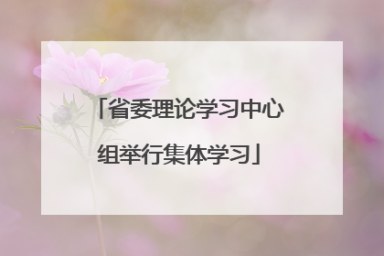 省委理论学习中心组举行集体学习