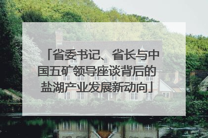 省委书记、省长与中国五矿领导座谈背后的盐湖产业发展新动向
