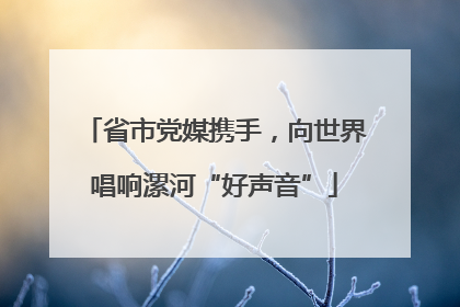 省市党媒携手，向世界唱响漯河“好声音”
