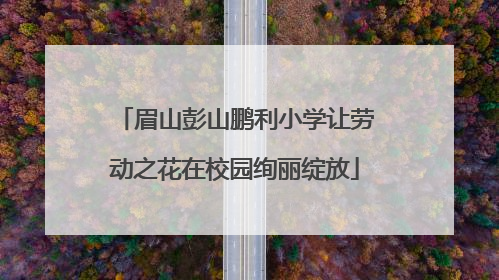 眉山彭山鹏利小学让劳动之花在校园绚丽绽放