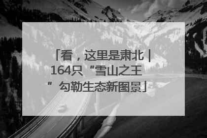 看，这里是肃北｜164只“雪山之王”勾勒生态新图景