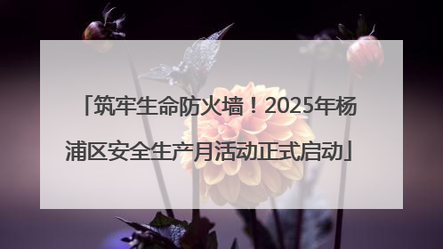 筑牢生命防火墙！2025年杨浦区安全生产月活动正式启动