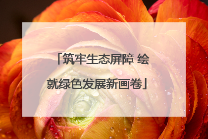 筑牢生态屏障 绘就绿色发展新画卷