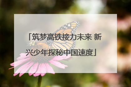 筑梦高铁接力未来 新兴少年探秘中国速度