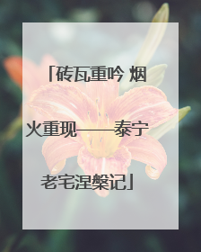 砖瓦重吟 烟火重现——泰宁老宅涅槃记