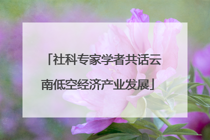 社科专家学者共话云南低空经济产业发展