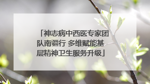 神志病中西医专家团队南疆行 多维赋能基层精神卫生服务升级
