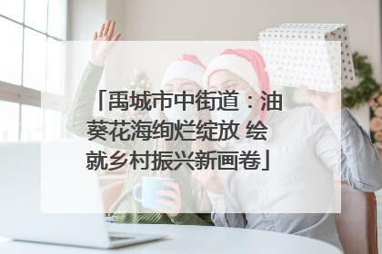 禹城市中街道：油葵花海绚烂绽放 绘就乡村振兴新画卷
