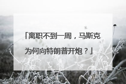 离职不到一周，马斯克为何向特朗普开炮？