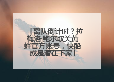 离队倒计时？拉梅洛·鲍尔取关黄蜂官方账号，快船或是潜在下家