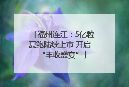 福州连江：5亿粒夏鲍陆续上市 开启“丰收盛宴”