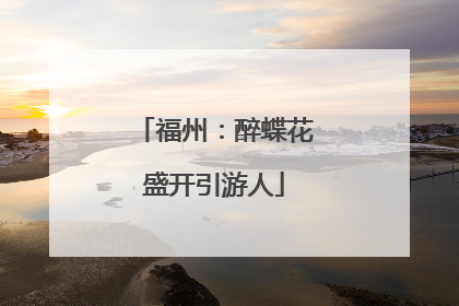 福州：醉蝶花盛开引游人
