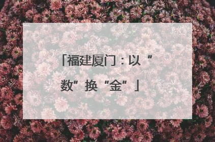 福建厦门：以“数”换“金”