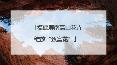 福建屏南高山花卉绽放“致富花”